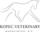 Kopec Veterinary Associates